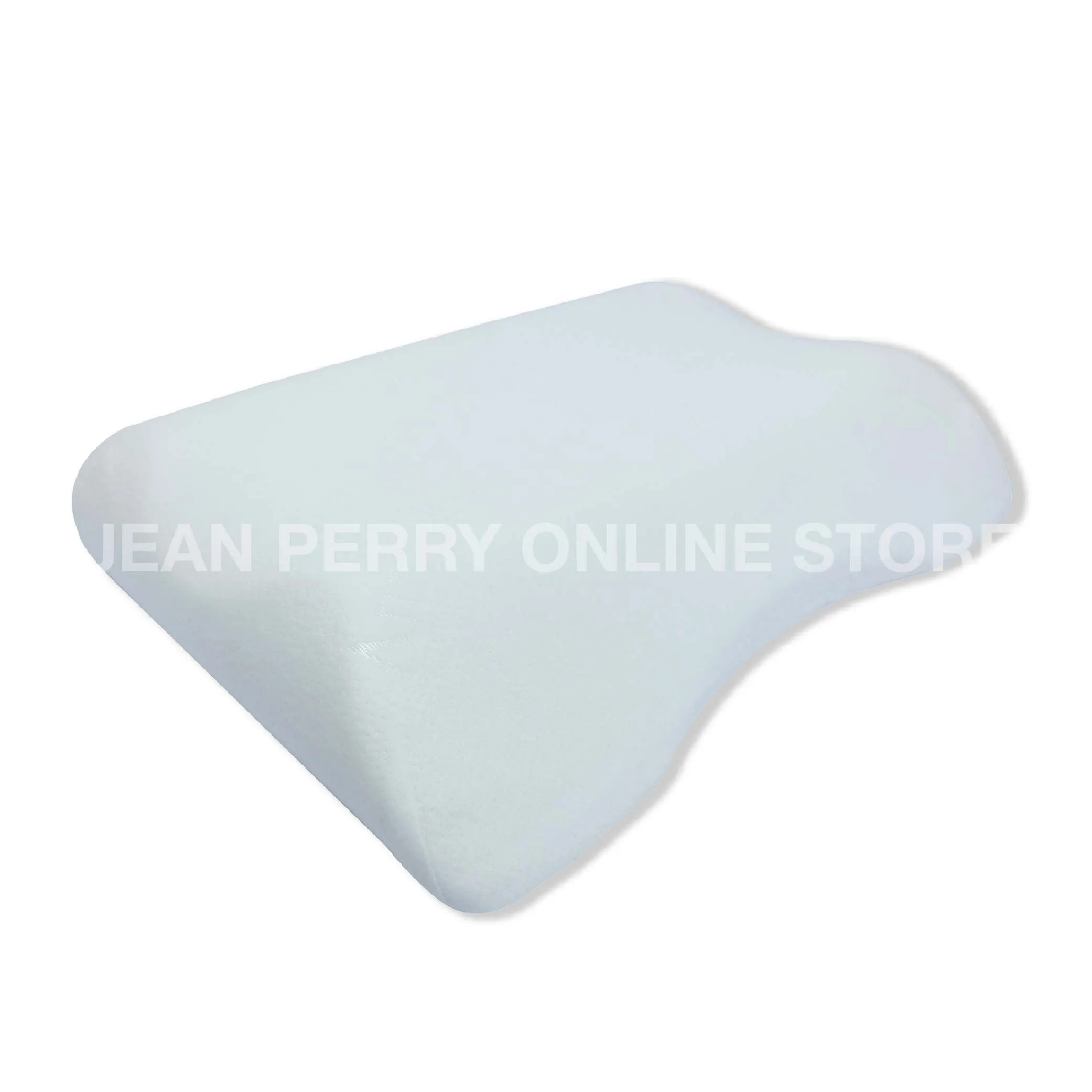 Ann Taylor Anti Snore Memory Pillow