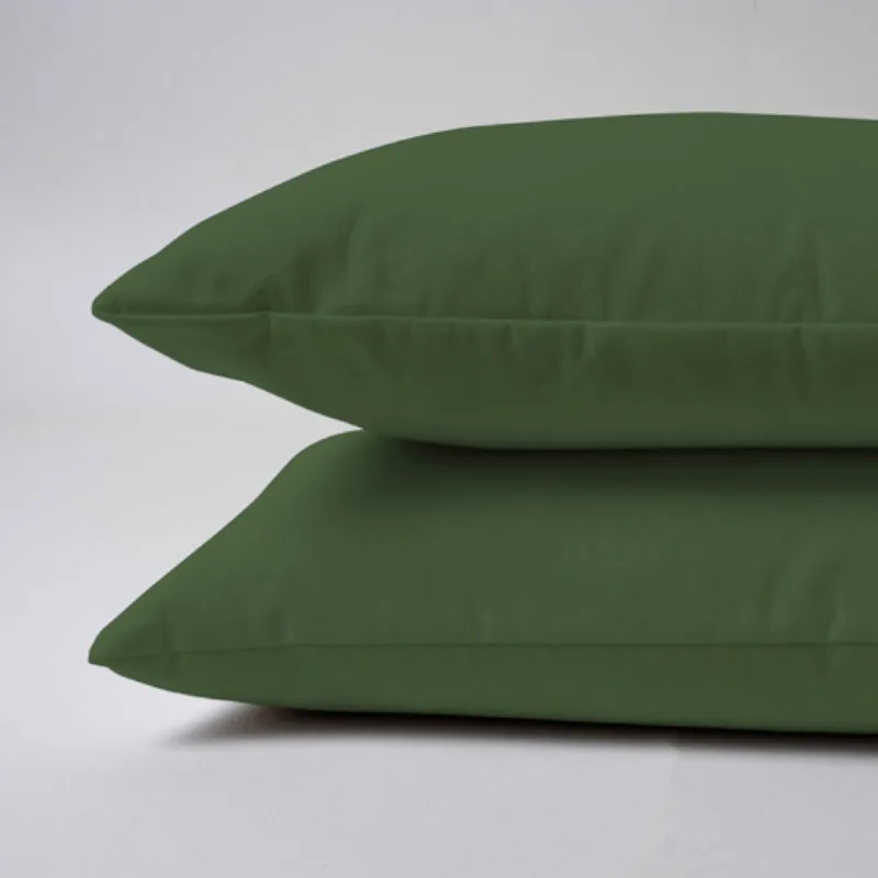 Leslie Sofa Cushion (Light Green) - Set Of Two